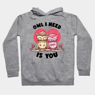 Owl I Need Is You Adorable Owl Puns Couple Valentines Day Hoodie